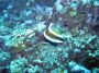 07Moorea - 12